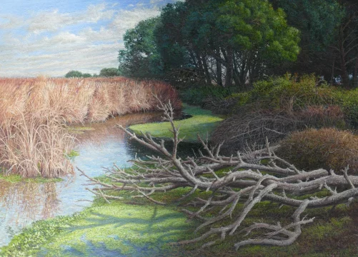 Confluencias 44 x 33 cm oleo/lienzo