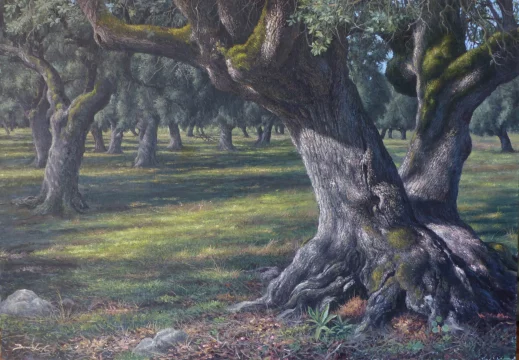 Dehesa de Aroche 116 x 81 cm oleo/lienzo