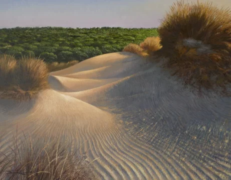 Entre dunas de Doñana oleo/lienzo 81 x 65 cm