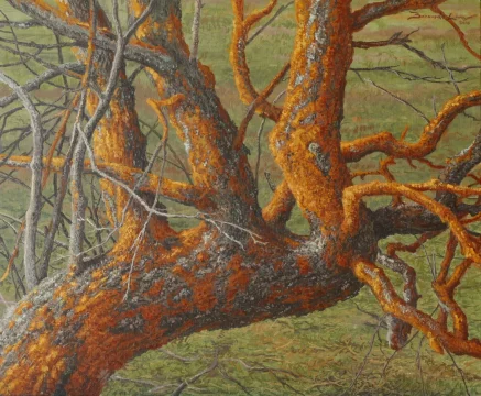 Fresno cromático oleo/lienzo 38 x 46 cm oleo/lienzo