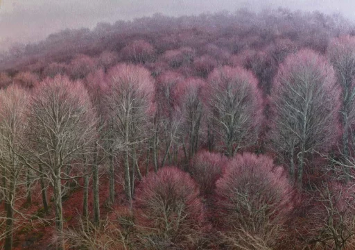 Hayedo invernado de Saseta 116 x 81 cm oleo/lienzo