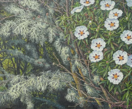 Flores de papel, jaras 46 x 38 cm óleo/lienzo