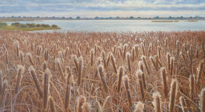 Marisma, lo somero y lo ritmico 73 x 40 cm óleo