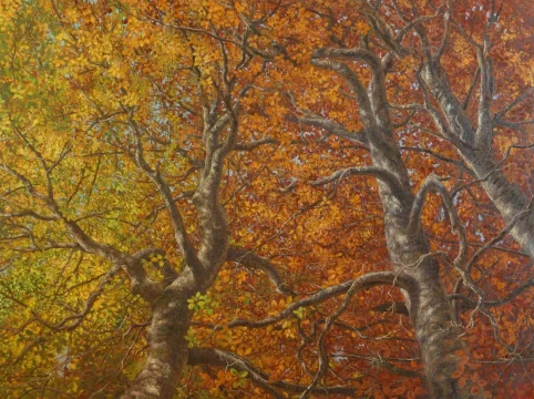 Octubre en las altas hayas 130 x 97 cm oleo/lienzo