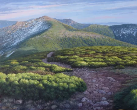 Piornales, sierra de Guadarrama oleo sobre lienzo 81 x 65 cm