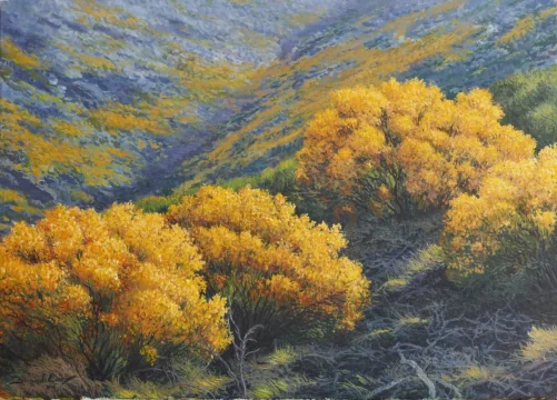 Piornos encendidos 46 x 33 cm oleo/lienzo