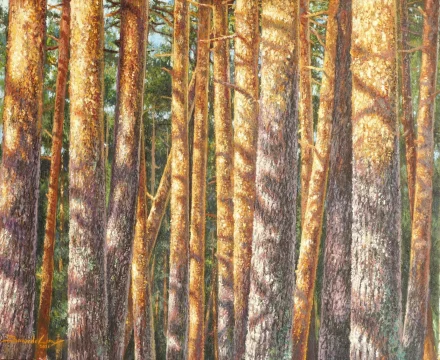 Ritmos y claroscuros, pinos albares 46 x 33 cm oleo/lienzo