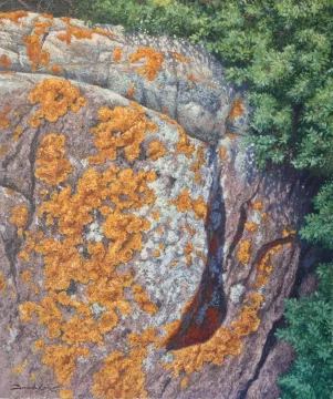 Escrituras,rocas de Castellar Viejo, oleo/lienzo 65 x 54 cm