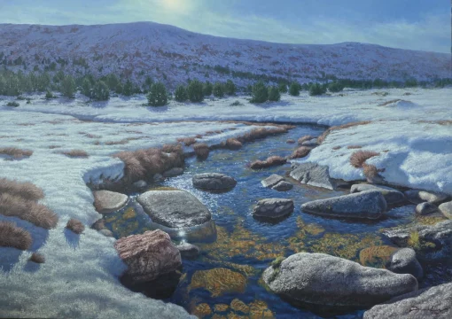 Tras Penalara, camino del agua oleo/lienzo 92 x 65 cm