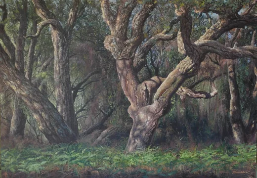 Umbrias de Doñana, alcornoques oleo/lienzo 116 x 81 cm