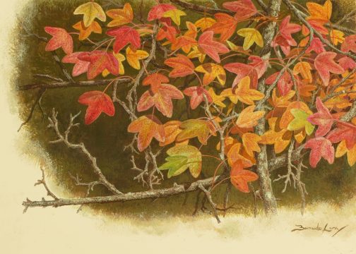 Cromatismos, arce de Mompellier 32 x 26 cm oleo/lienzo