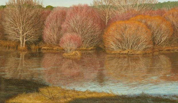 De sauces que se miran en el Lozoya 46 x 27 cm óleo/lienzo