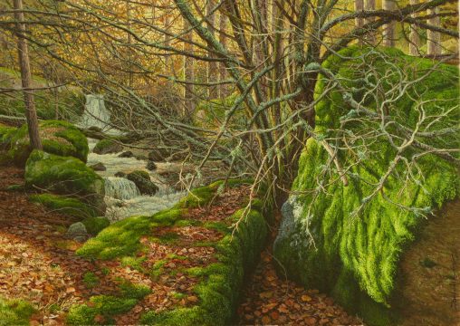 El arroyo de los avellanos 33x 46 oleo/lienzo